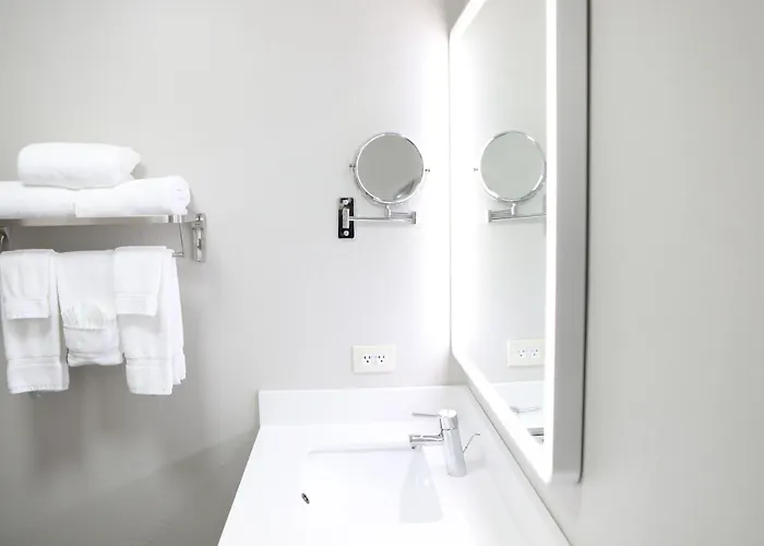 Hotel Chicago Oakbrook By Ihg 3*